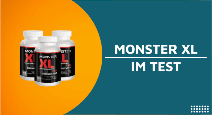 monster-xl-im-test